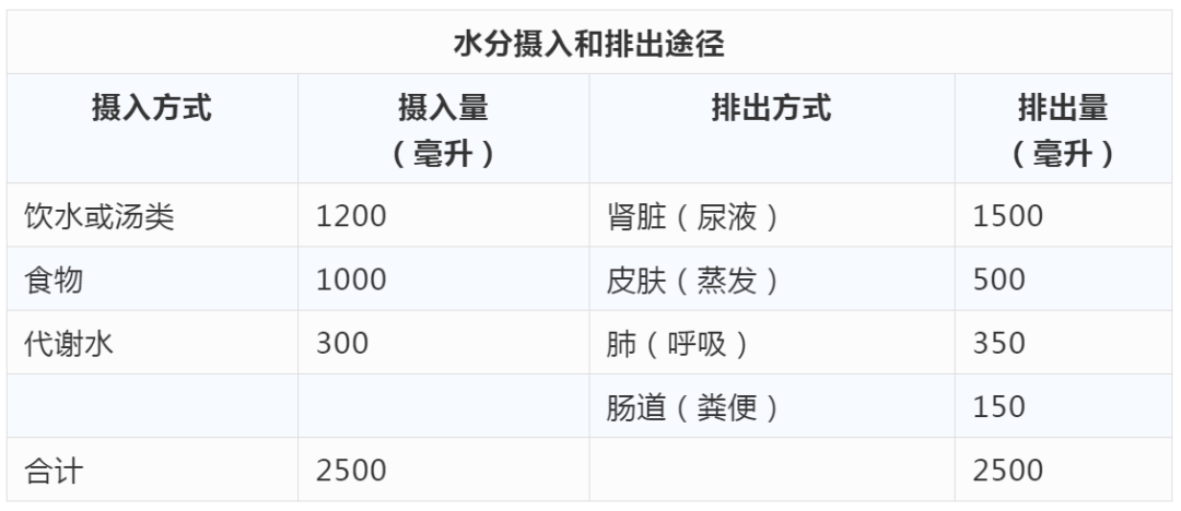 每日飲水量與身體代謝的緊密聯(lián)系