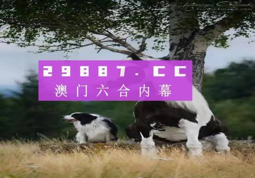 今晚澳門特馬開什么今晚四不像,高效解讀說明_超值版94.251