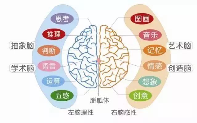 孩子情感共鳴能力的早期培養(yǎng)與塑造