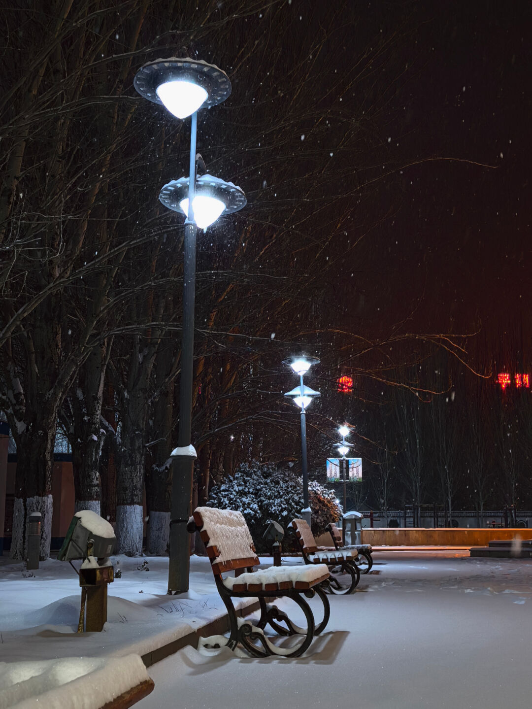 路燈下夜晚的積雪光輝映照