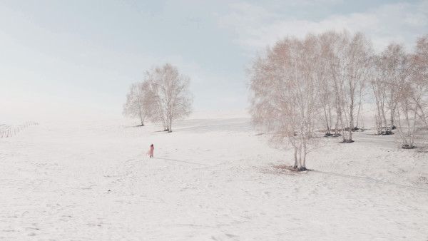 冰雪森林之旅，追尋自然的腳步