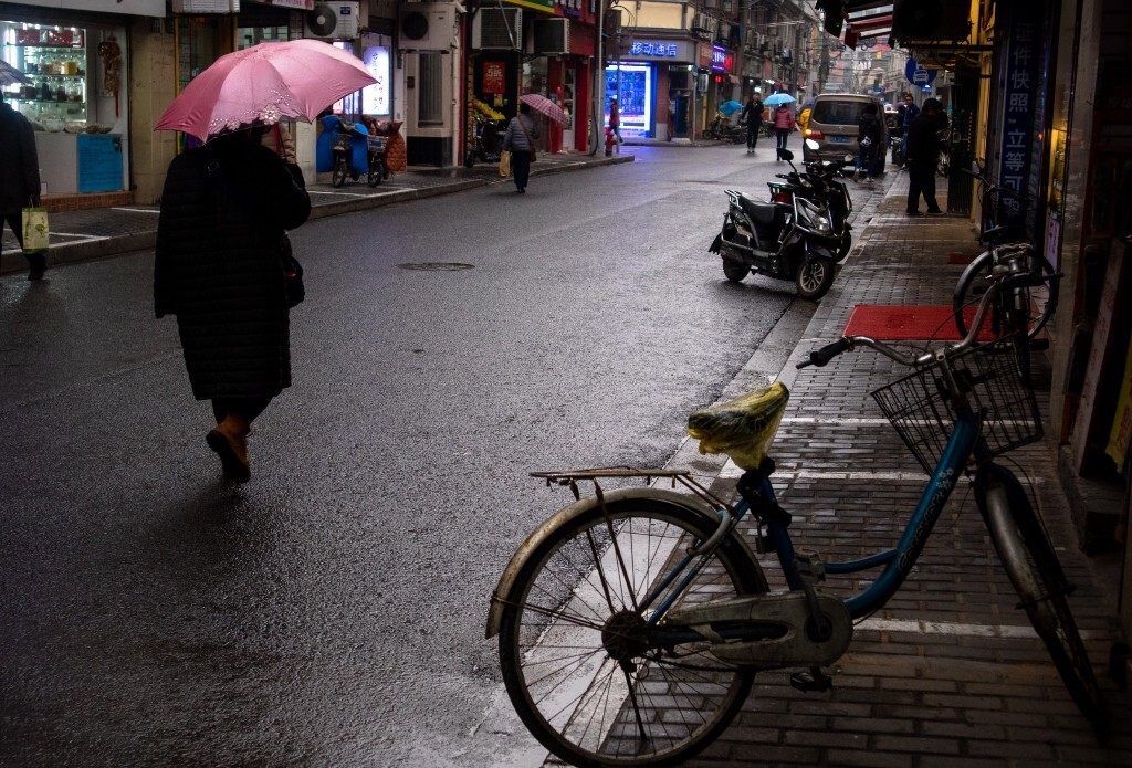 雨幕下的寧靜街道，新鮮氣息彌漫的祥和景象