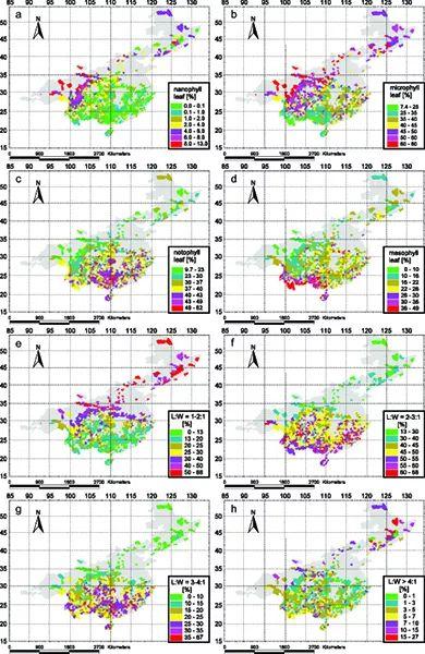 木本植物對(duì)氣候調(diào)節(jié)的貢獻(xiàn)及全球合作的關(guān)鍵作用