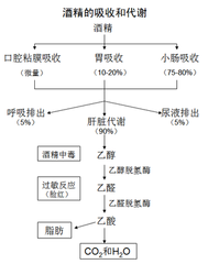 碧水青山 第5頁(yè)