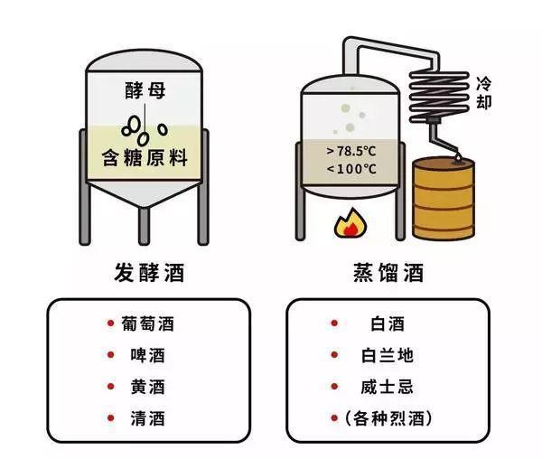 發(fā)酵技巧與原理，提升食物風(fēng)味探索