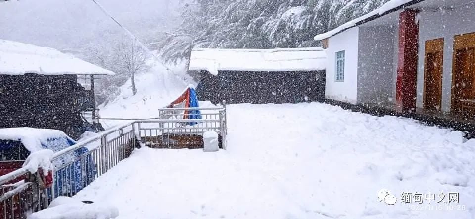 雪后公園足跡印記，探尋冬日自然之美