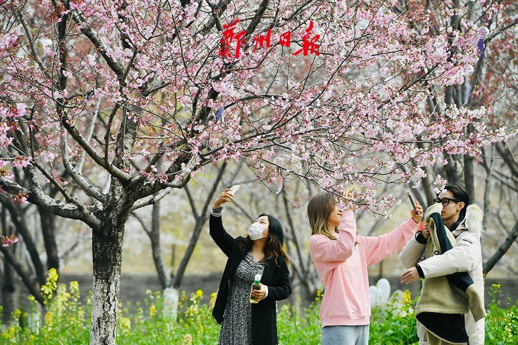 春雨后，世界如畫，清新花香沁人心脾