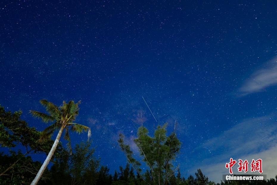 夏夜星空璀璨，蟬聲響徹田野