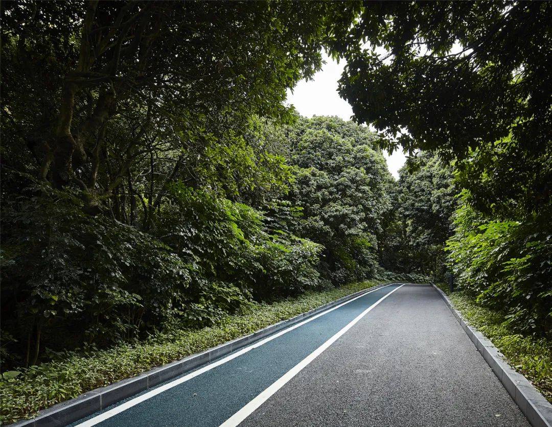 清晨公園，活力跑步時光