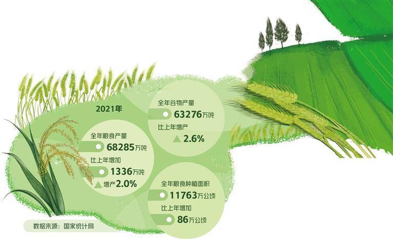 精準(zhǔn)農(nóng)業(yè)應(yīng)對(duì)全球糧食安全挑戰(zhàn)的策略探討