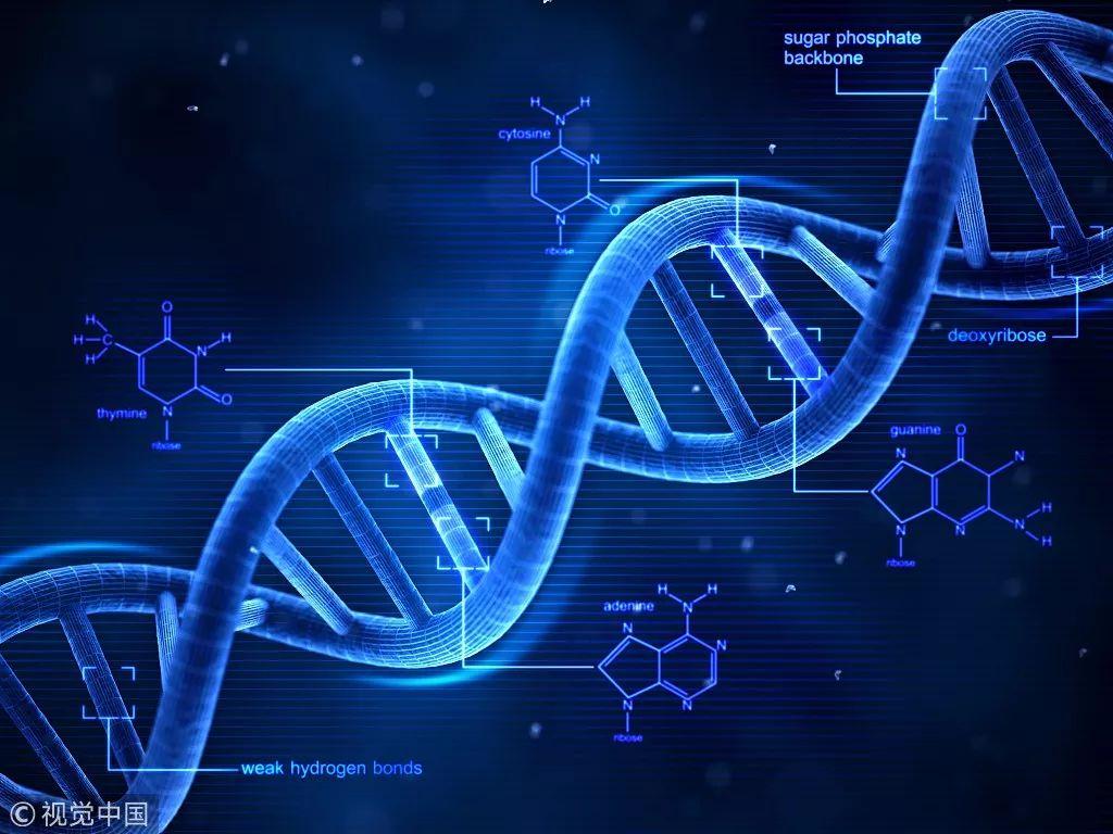 基因編輯技術助力個性化醫(yī)學革新之路