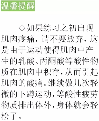 塑造健康生活，短時(shí)間高效運(yùn)動(dòng)的最佳策略揭秘