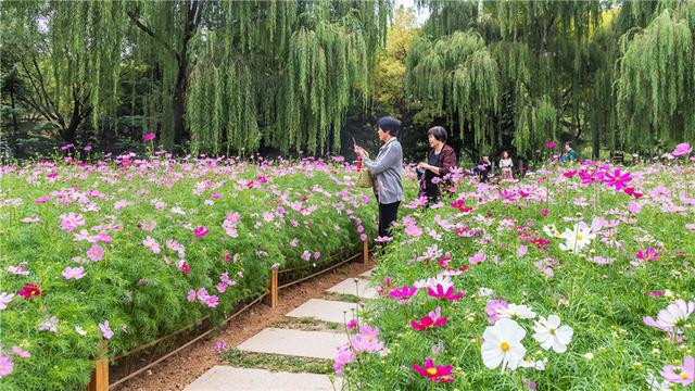 世界頂級植物園之旅，花卉與自然的絕美交融