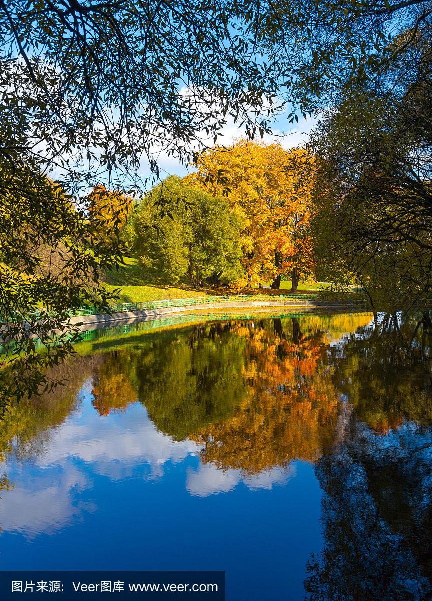 秋日公園，樹木倒影與詩意畫卷的交相輝映