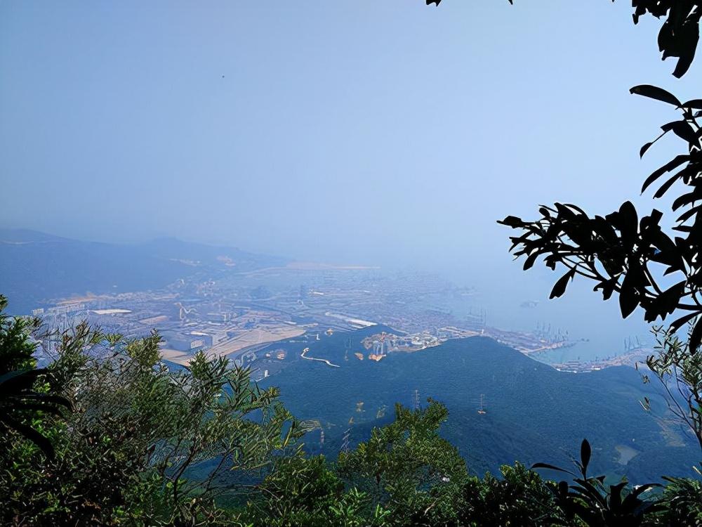 探訪世界最古老的動(dòng)植物園，領(lǐng)略自然奇景的魅力