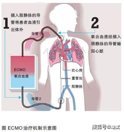 深呼吸幾分鐘，肺部健康秘訣揭曉！