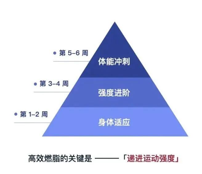 每日30分鐘運(yùn)動，整體健康的秘訣之道