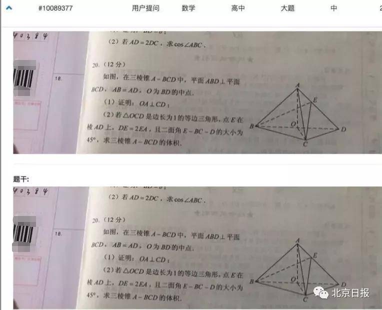 如何引導學生自主學習生活中的數理問題？