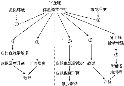 自然環(huán)境運(yùn)動(dòng)，心理與生理的雙重調(diào)節(jié)之道